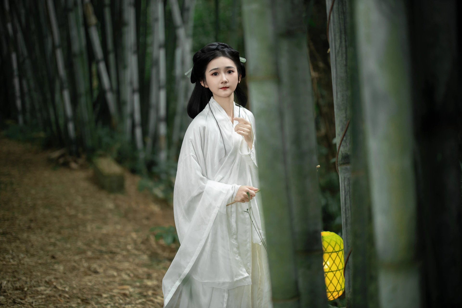 [YITUYU艺图语]2023.12.08 微风竹林 一大块蛋糕 2